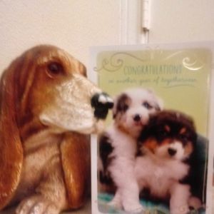 Meet your Posher, Debbie